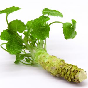 Wasabi Fresco Km0 grande