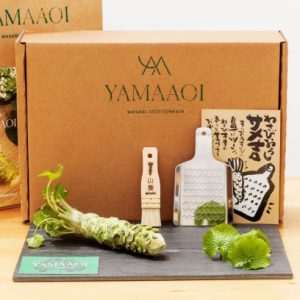 Wasabi Pack Large